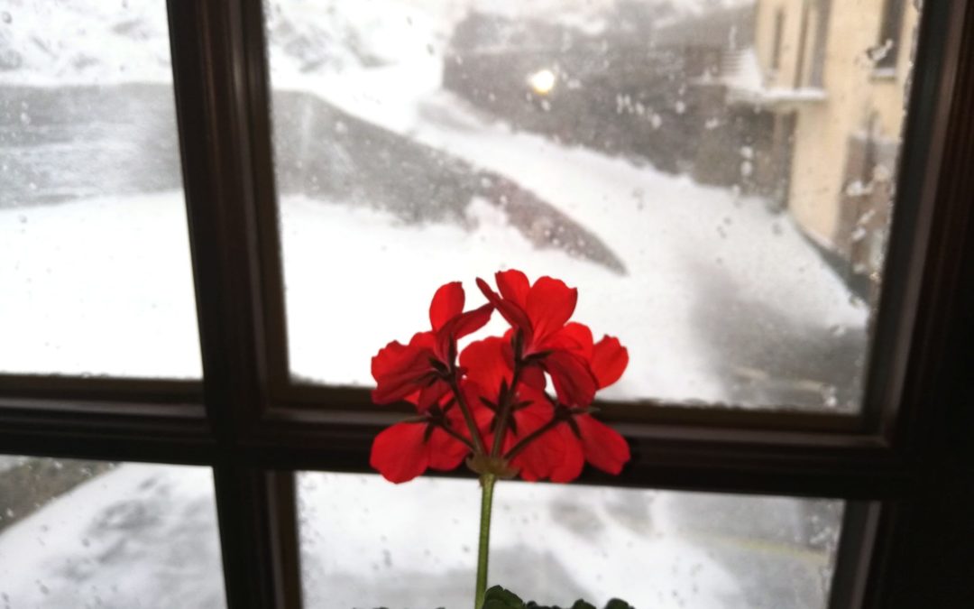 WINTER IS COMING